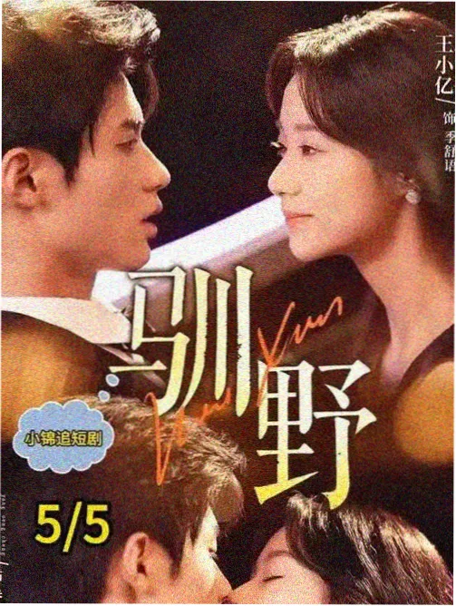 韩国剧集 汉江之南 在线观看